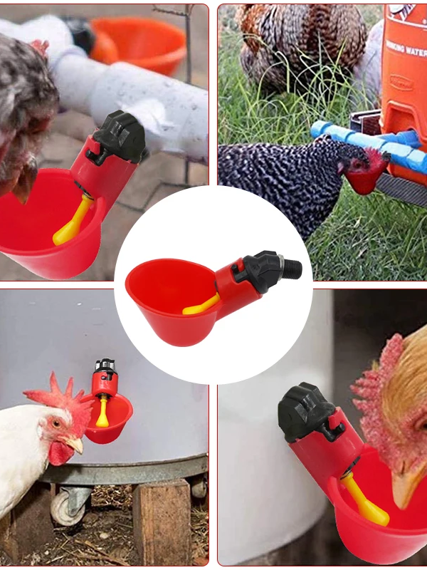 kf-S53de3c36dadf44afbc2ee15576c98b587